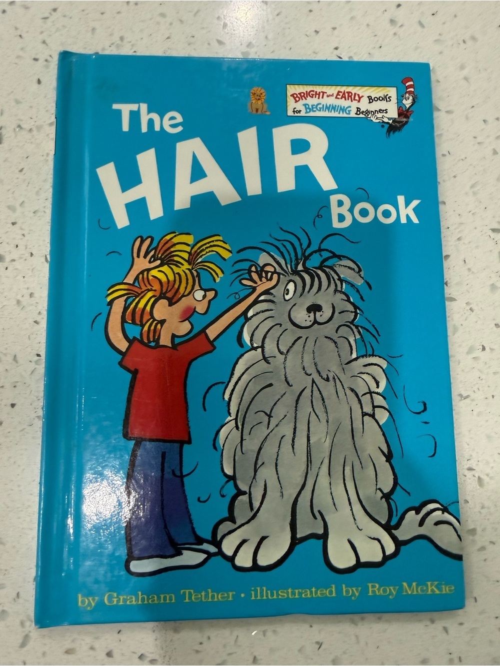 Dr. Seuss The Hair Book - Bright Blue Cover with Red and Yellow Accents